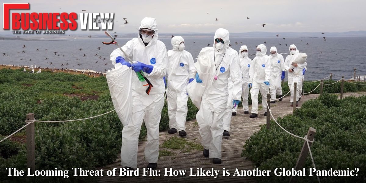 H5N1 Bird Flu: How Likely is Another Global Pandemic