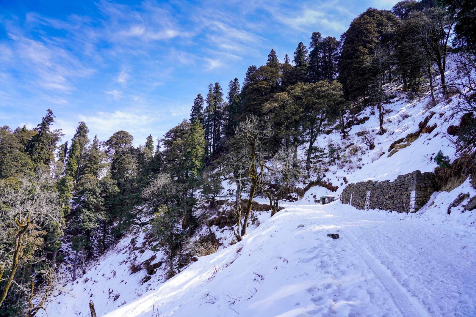 NARKANDA, HIMACHAL PRADESH