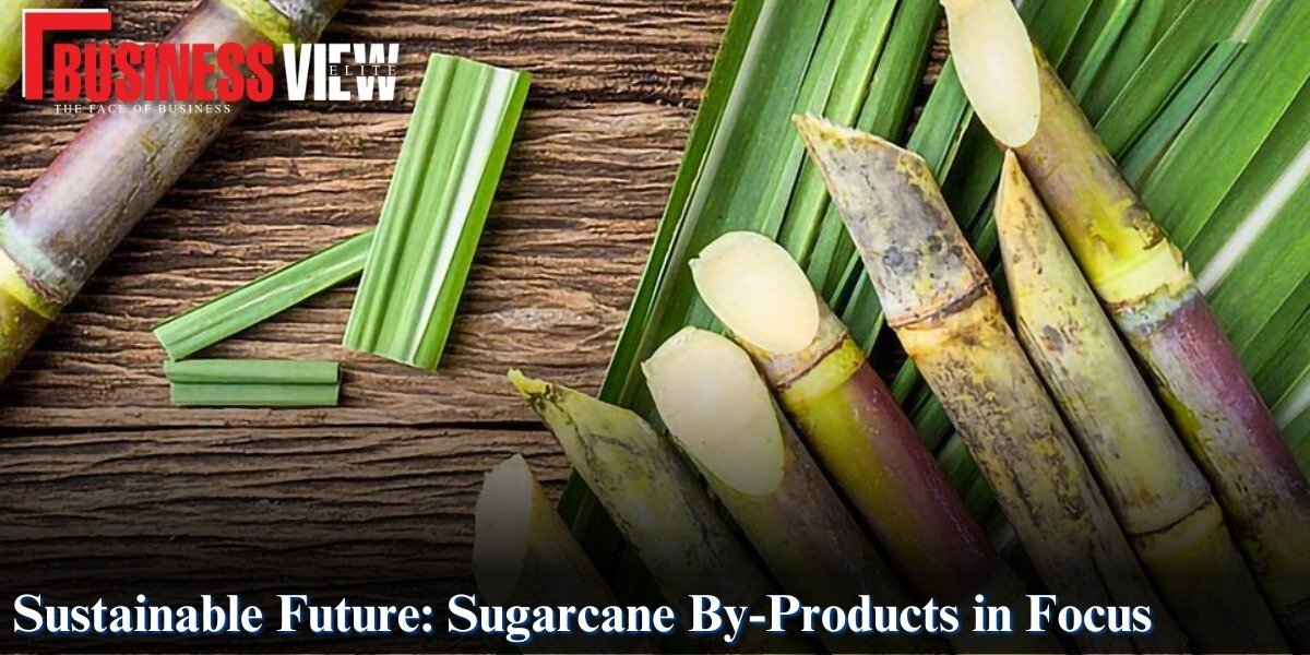Sugarcane By-Products in Focus